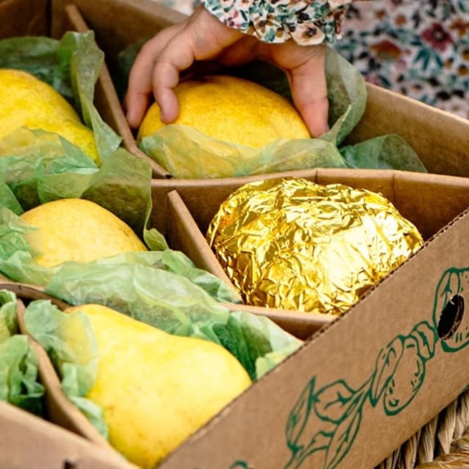 The Best Vegan Gifts Are at Harry &amp; David