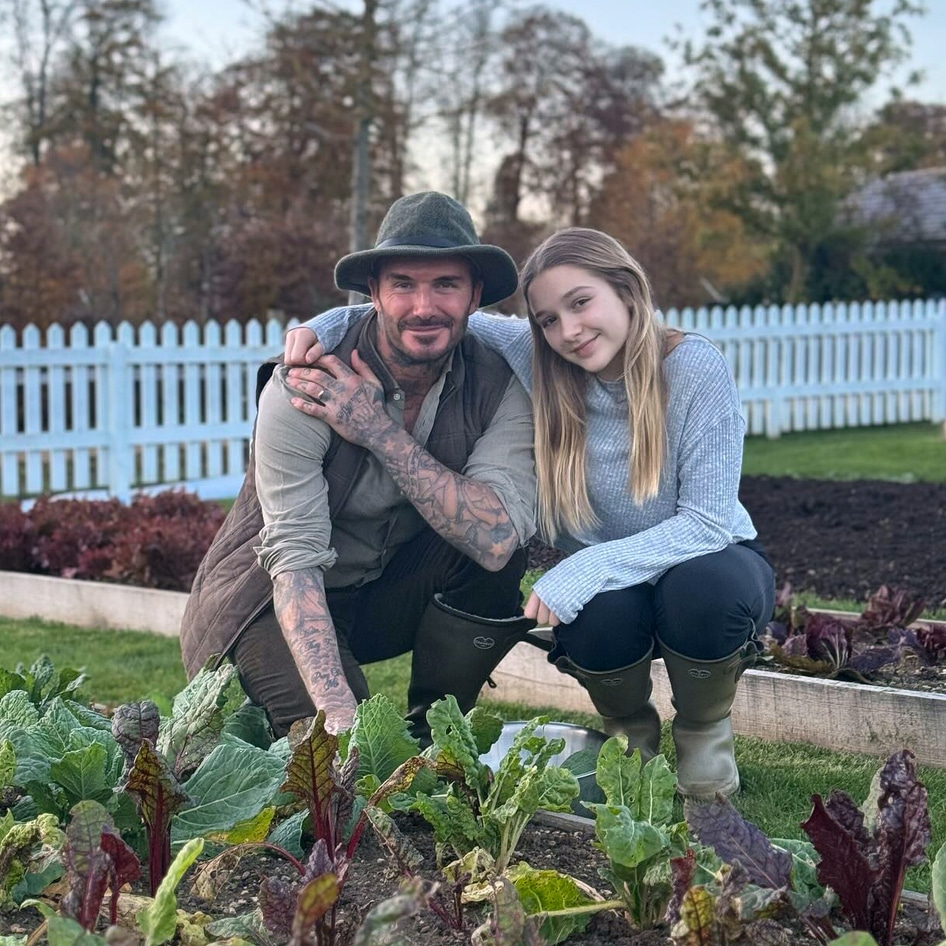 Plant It Like Beckham: Expert Tricks to Get a Perfect Mid-Summer Garden Just Like the Soccer Legend