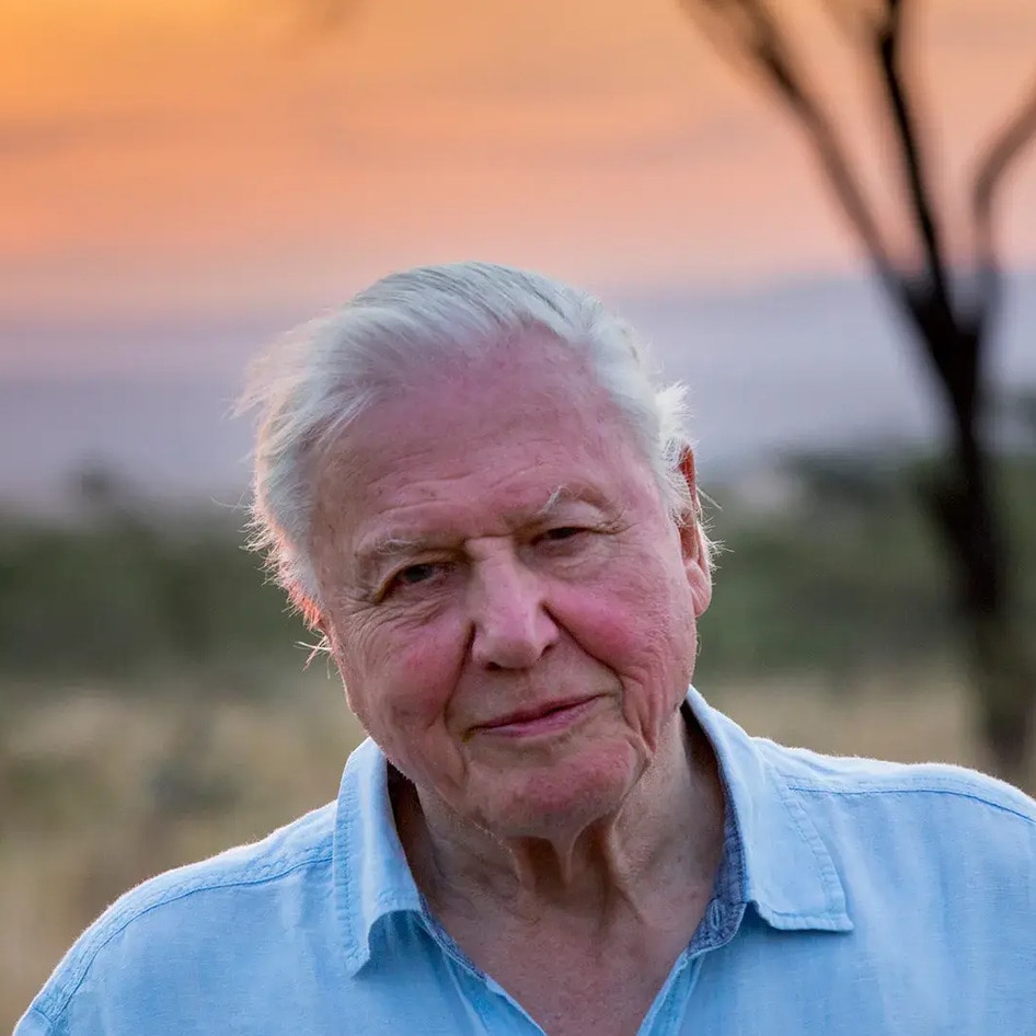 David Attenborough Just Turned 99. These Are the 5 Lifestyle Habits He Shares With the World's Longest-Living People