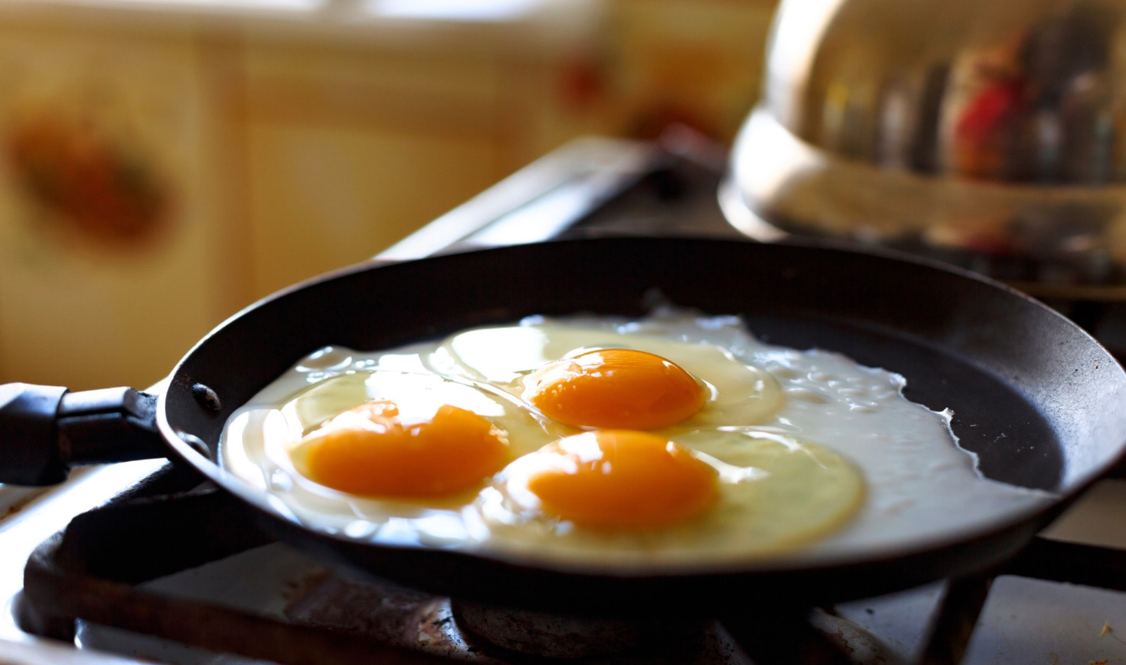 The Hidden Dangers of Mono Diets: Why Experts Urge Caution