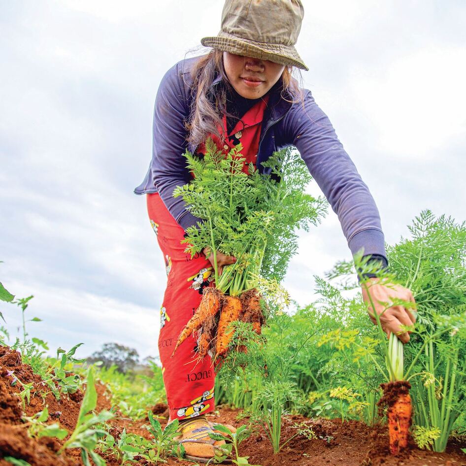 Why This Seven-Word Food Rule Is the Only One You'll Ever Need