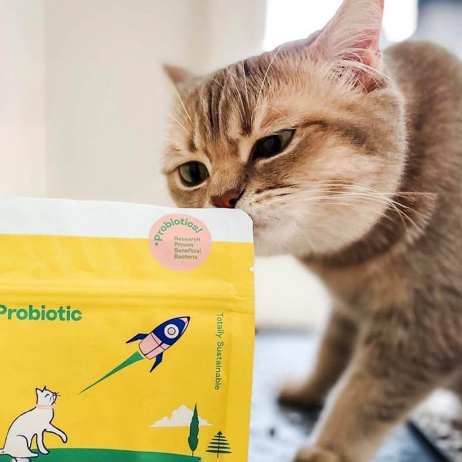 How to Shop at Petco: The Best Vegan, Organic, and Eco-Friendly Products 