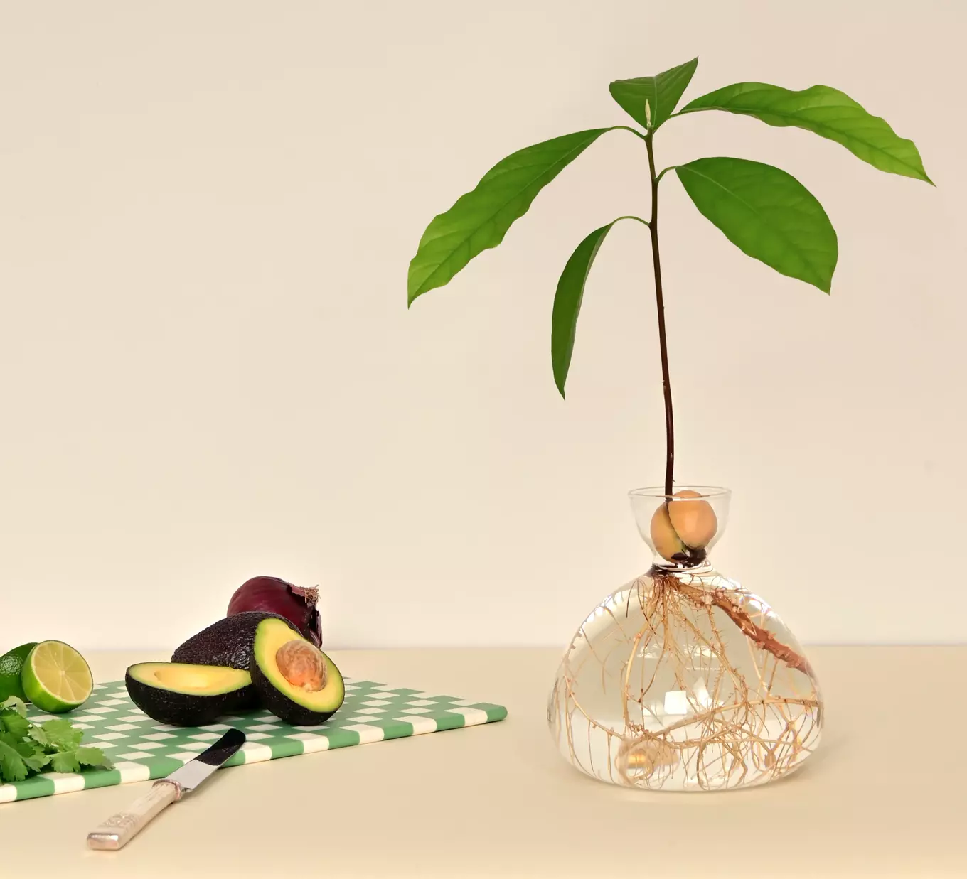 AVOCADO-VASE-guacamole_3000x